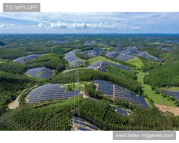 意甲绿色能源奖，可再生能源应用